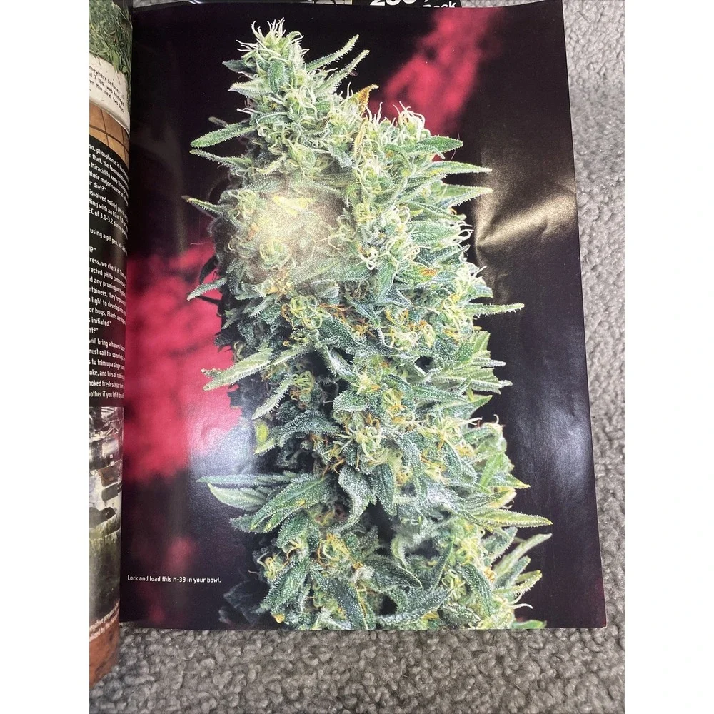 High Times Magazine Build Your Own Micro‎ Garden (August 2001)